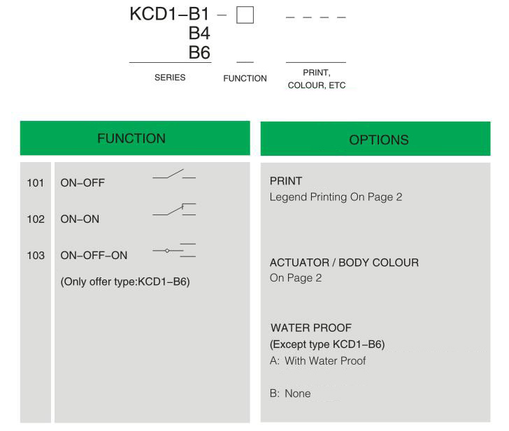 Ordering Information.jpg