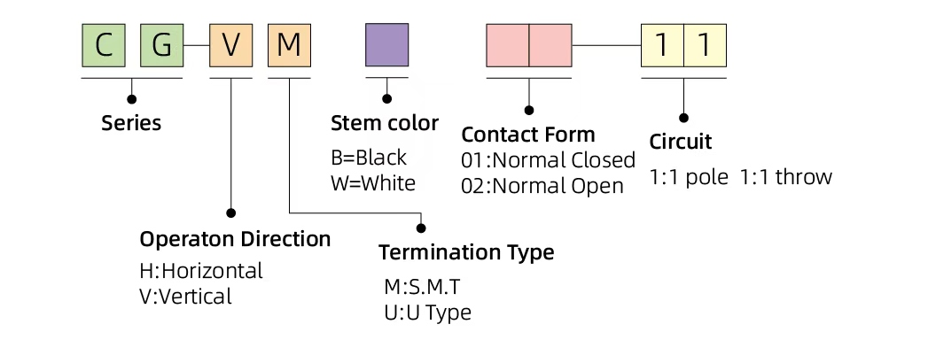 CG-VM01-11.jpg